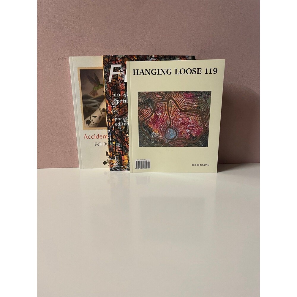Hanging Loose 119 | Fence | Accidental Devotions Paperback Book